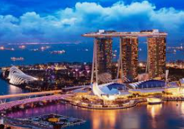 vwin德赢官网首页2024最新版